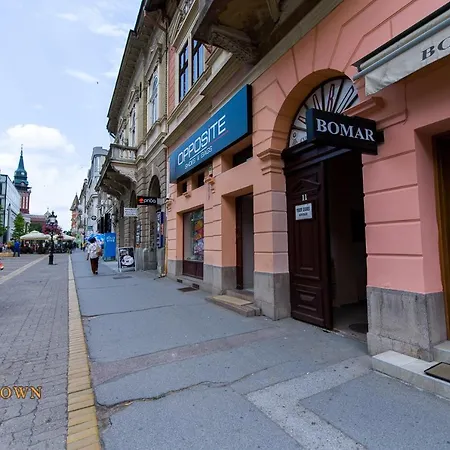 Downtown Lux Apartments, Apartman *